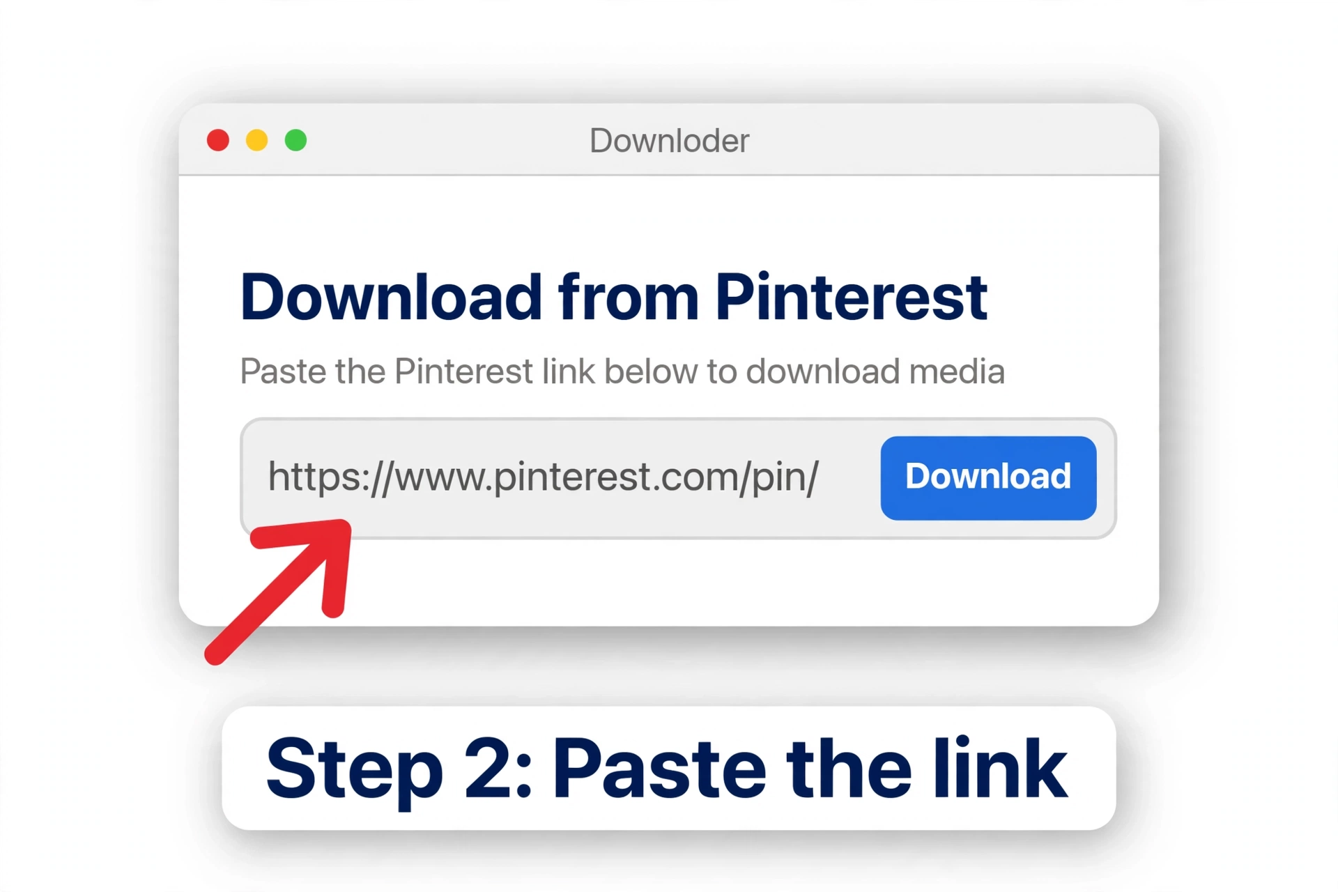 Step 2: Paste the Pinterest link into DownloadPins